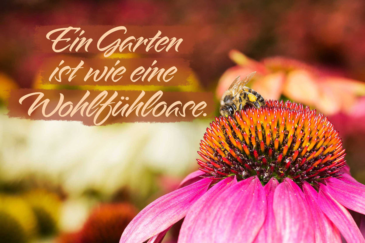 Personalisiertes Gartenschild mit Deiner Wunschgravur aus Schiefer