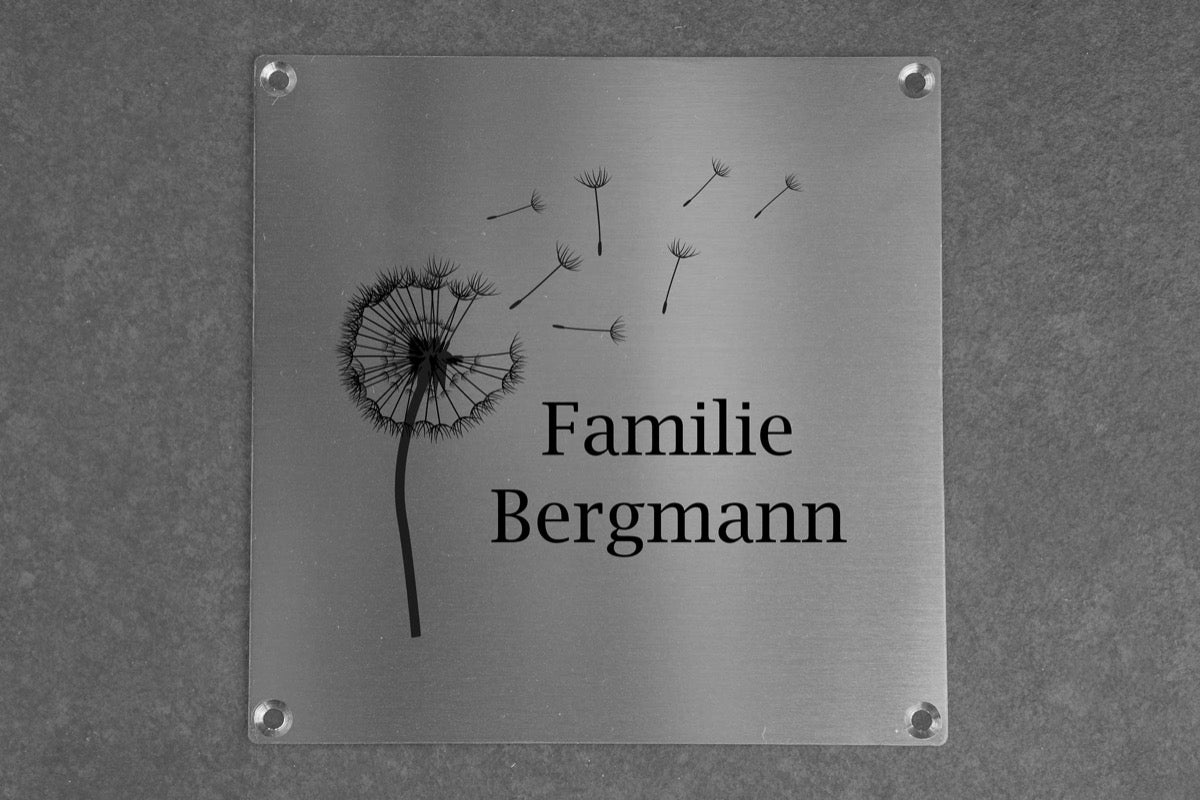Personalisiertes Klingelschild Türschild Namensschild Briefkastenschild mit Pusteblume