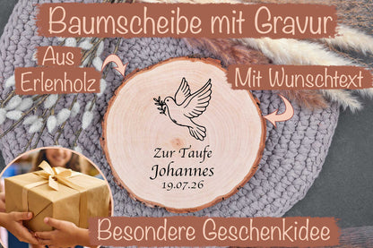 Baumscheibe mit Gravur und vielen Motiven